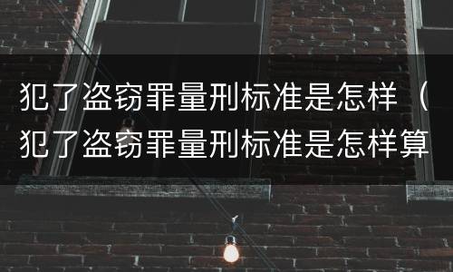 犯了盗窃罪量刑标准是怎样（犯了盗窃罪量刑标准是怎样算的）