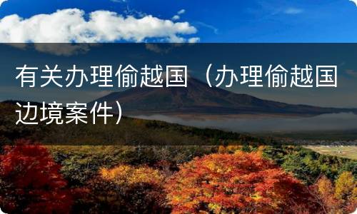 有关办理偷越国（办理偷越国边境案件）