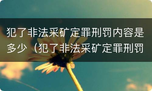 犯了非法采矿定罪刑罚内容是多少（犯了非法采矿定罪刑罚内容是多少钱）