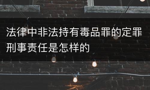 法律中非法持有毒品罪的定罪刑事责任是怎样的