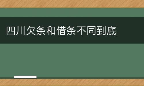 四川欠条和借条不同到底
