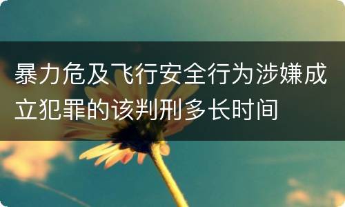暴力危及飞行安全行为涉嫌成立犯罪的该判刑多长时间