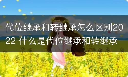 代位继承和转继承怎么区别2022 什么是代位继承和转继承