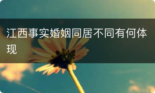 江西事实婚姻同居不同有何体现