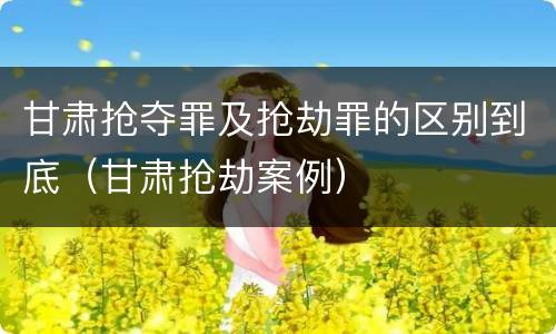 甘肃抢夺罪及抢劫罪的区别到底（甘肃抢劫案例）