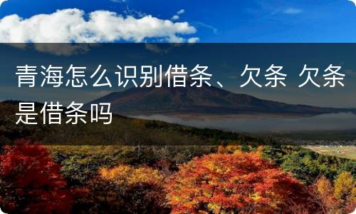 青海怎么识别借条、欠条 欠条是借条吗