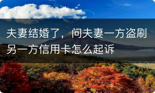夫妻结婚了，问夫妻一方盗刷另一方信用卡怎么起诉