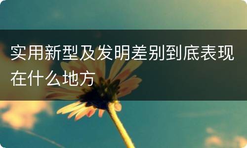 实用新型及发明差别到底表现在什么地方