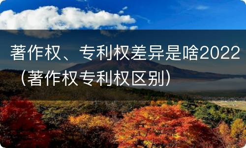 著作权、专利权差异是啥2022（著作权专利权区别）