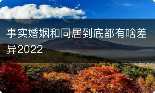 事实婚姻和同居到底都有啥差异2022