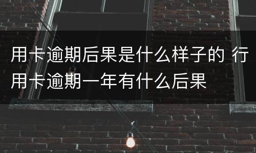 用卡逾期后果是什么样子的 行用卡逾期一年有什么后果