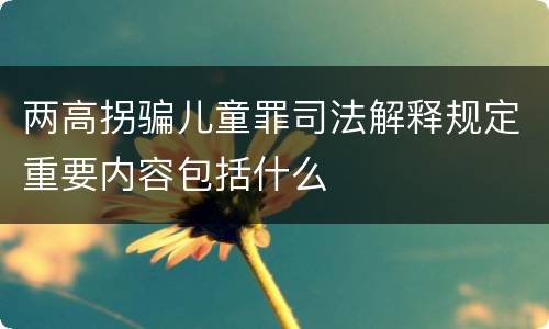 两高拐骗儿童罪司法解释规定重要内容包括什么