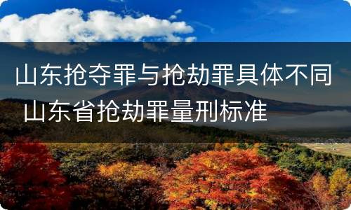 山东抢夺罪与抢劫罪具体不同 山东省抢劫罪量刑标准