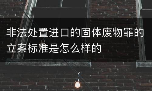 非法处置进口的固体废物罪的立案标准是怎么样的