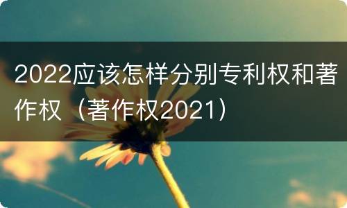 2022应该怎样分别专利权和著作权（著作权2021）