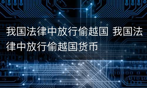 我国法律中放行偷越国 我国法律中放行偷越国货币