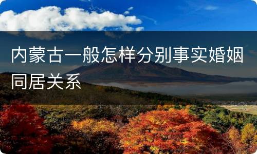 内蒙古一般怎样分别事实婚姻同居关系