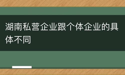 湖南私营企业跟个体企业的具体不同