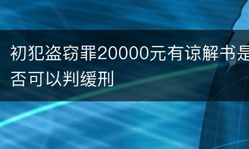 初犯盗窃罪20000元有谅解书是否可以判缓刑
