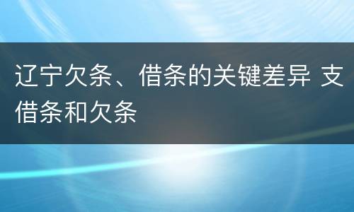 辽宁欠条、借条的关键差异 支借条和欠条