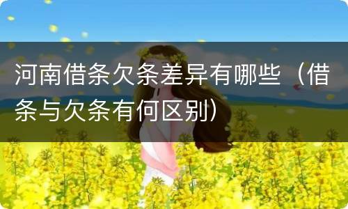 河南借条欠条差异有哪些（借条与欠条有何区别）