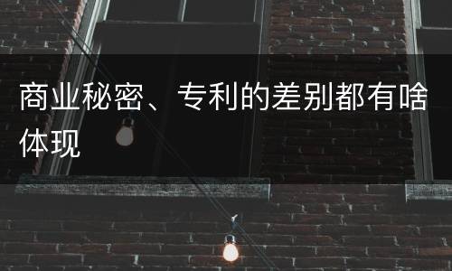 商业秘密、专利的差别都有啥体现