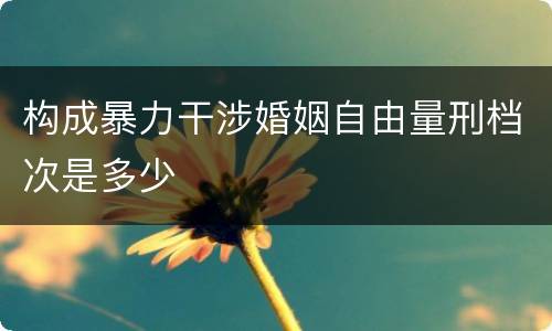 构成暴力干涉婚姻自由量刑档次是多少