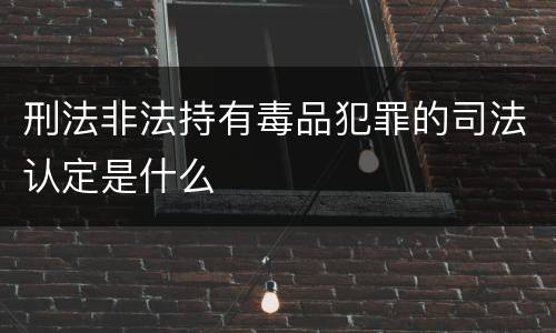 刑法非法持有毒品犯罪的司法认定是什么