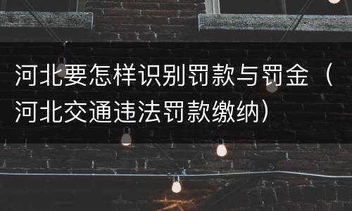 河北要怎样识别罚款与罚金（河北交通违法罚款缴纳）