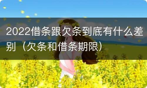 2022借条跟欠条到底有什么差别（欠条和借条期限）