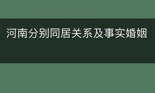河南分别同居关系及事实婚姻