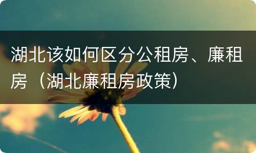 湖北该如何区分公租房、廉租房（湖北廉租房政策）