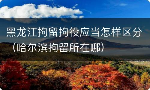 黑龙江拘留拘役应当怎样区分（哈尔滨拘留所在哪）