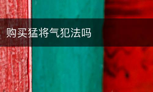 购买猛将气犯法吗