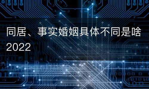 同居、事实婚姻具体不同是啥2022