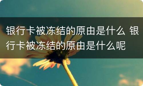 银行卡被冻结的原由是什么 银行卡被冻结的原由是什么呢