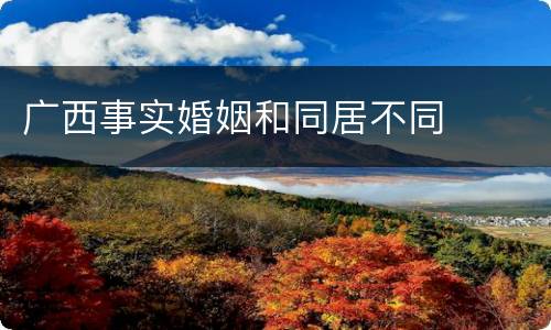 广西事实婚姻和同居不同
