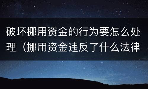 破坏挪用资金的行为要怎么处理（挪用资金违反了什么法律法规）