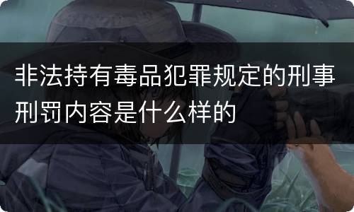 非法持有毒品犯罪规定的刑事刑罚内容是什么样的