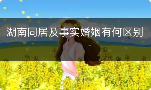 湖南同居及事实婚姻有何区别