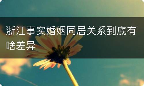 浙江事实婚姻同居关系到底有啥差异