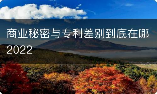商业秘密与专利差别到底在哪2022