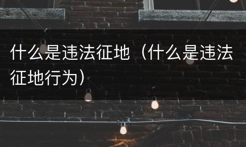 什么是违法征地（什么是违法征地行为）