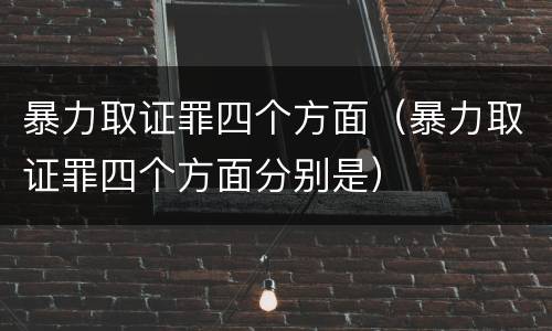 暴力取证罪四个方面（暴力取证罪四个方面分别是）