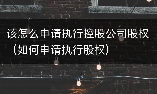 该怎么申请执行控股公司股权（如何申请执行股权）