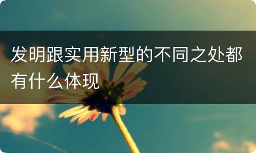 发明跟实用新型的不同之处都有什么体现
