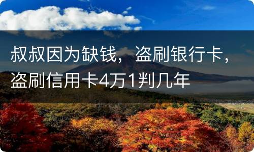 叔叔因为缺钱，盗刷银行卡，盗刷信用卡4万1判几年