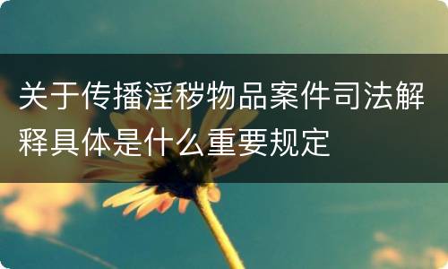 关于传播淫秽物品案件司法解释具体是什么重要规定
