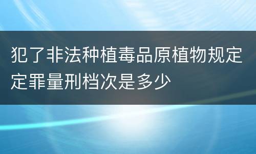 犯了非法种植毒品原植物规定定罪量刑档次是多少
