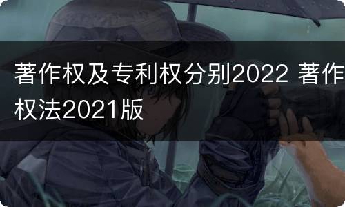 著作权及专利权分别2022 著作权法2021版